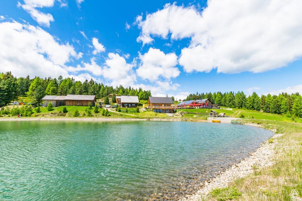 Gasthaus Rieglerhuette Sankt Lorenzen ob Murau Εξωτερικό φωτογραφία